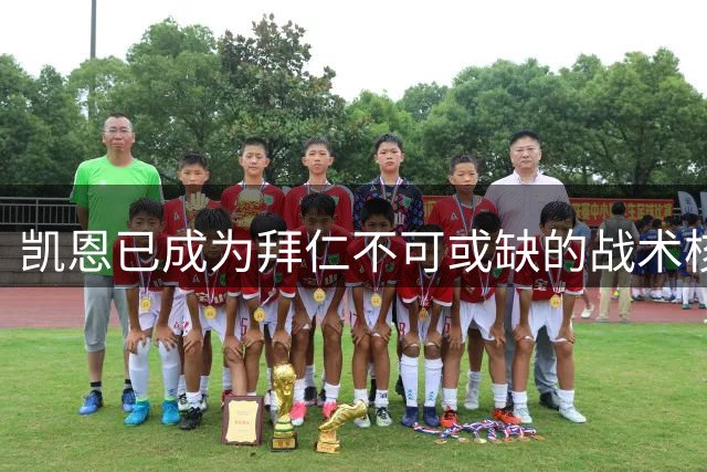 凯恩已成为拜仁不可或缺的战术核心